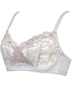 Wing ブラジャー コンパクトにバストメイク 高さをおさえる 【小さく見せるブラ】 Gカップまで対応 大きいサイズ ブラ KB6100 ウイング／ワコール