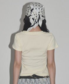 WEGO citrus T