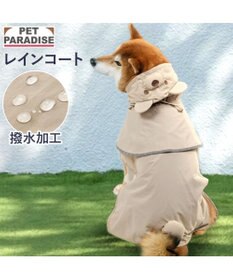 PET PARADISE ペットパラダイス くまちゃん ケープ付き レインコート 中型犬 大型犬
