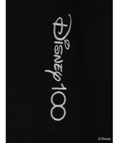 Green Parks Ｄｉｓｎｅｙ１００　ライオンキング／Ｔシャツ