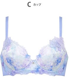 Wing ブラジャー Wing Lesiage サイドすっきり しっかりフィット 【2900シリーズ】 ブラ PB2900 ウイング／ワコール