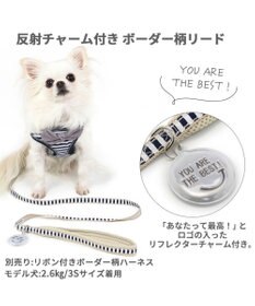PET PARADISE 犬 リード 【ＳＳ~Ｓ】 ボーダー