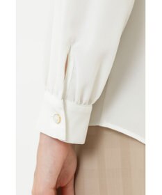 DAKS セラテリーライトブラウス