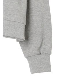 Green Parks ＴＯＹ　ＳＴＯＲＹ／クロスステッチスウェット