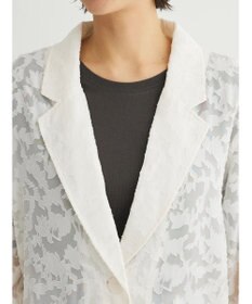 Green Parks ・ＳＵＧＡＲ　ＳＰＯＯＮ　シアージャカードジャケット