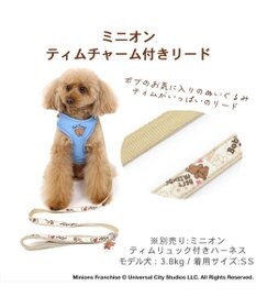PET PARADISE ミニオン  ティム リード【４Ｓ~３Ｓ】