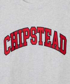 WEGO カレッジロゴBIGT（S）