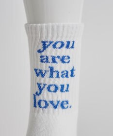 WEGO バックラメロゴソックス