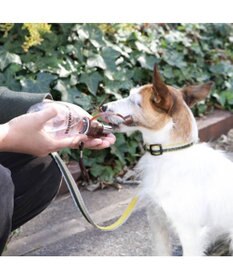 PET PARADISE 犬用品 ペットグッズ お散歩  お水携帯ボトル（茶）220ｍＬ