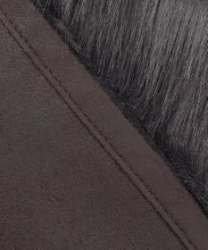 ICB L エコフォックスファージレ