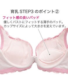 BRADELIS New York 【BRADELIS New York / 育乳STEP3 持ち上げる】ヴィオラステップ３ブラ23S1   美しいデコルテを作るブラ