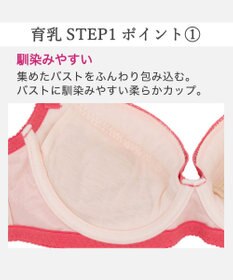 BRADELIS New York 【BRADELIS New York / 育乳補整ブラ・STEP1 集める】ジャスミンステップ1ブラ26S1
