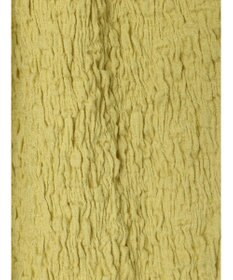 Green Parks カットＪＱキャミソール