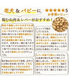 PET PARADISE ペットパラダイス 犬 おやつ デリスタイル8種類 肉系セット（ジビエ含む）