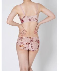 WACOAL サニタリーショーツ 【GOCOCi ゴコチ】 「普通~多い日」に対応 後ろまでしっかりカバー 羽付きナプキン対応 総レース 生理用ショーツ はきこみ丈あさめ レディース PGG198 /ワコール