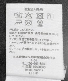 Green Parks ｅａｓｅ　ｂｌｕｅ．バックシャーリングブラウス