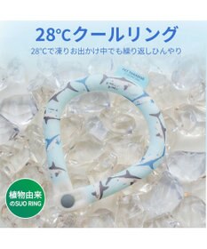 PET PARADISE ペットパラダイス ２８℃ クールリング Ｌ 《サメ柄》