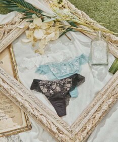 San-ai Resort（三愛水着楽園） エレガントコレクション2404Tショーツ  【northerly】