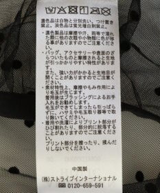 AMERICAN HOLIC ドットフロッキーレイヤードチュールスカート