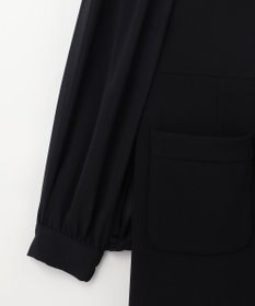 GRACE CONTINENTAL シアスリーブレイヤードレス