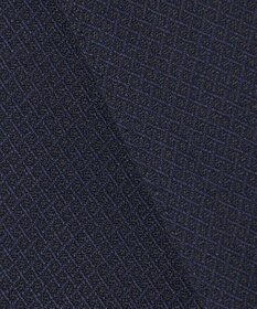 GOTAIRIKU 【御幸毛織】ドライスピナーツイルストレッチスーツ_ネイビー格子