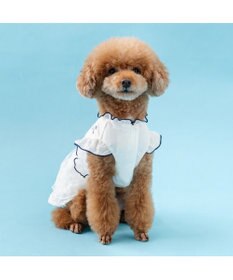 PET PARADISE ペットパラダイス フロッキー お花 ワンピース 《ホワイト》 小型犬