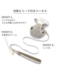 PET PARADISE シンプル リード付きハーネス【４Ｓ】