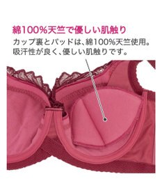 BRADELIS New York 【BRADELIS New York】サポートバックラインブラ23A1 グラマーバストをスッキリさせる補正ブラ