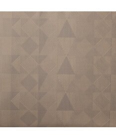 ACE BAGS & LUGGAGE Kanana project PJ-10-3rd Limited キャリーバッグ  機内持ち込み 35513 カナナプロジェクト