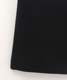 GRACE CONTINENTAL シアスリーブレイヤードレス