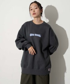 WEGO 【ユニセックス着用ITEM/MLサイズ展開/裏起毛】別注BENDAVISプランプロゴプルオーバー