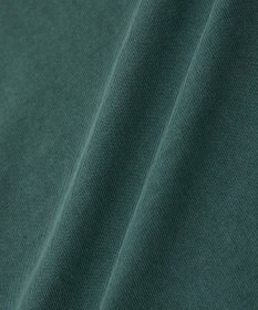 Green Parks ・ＤＯＵＢＬＥ　ＦＬＡＧＳ　ピグメント切替ノースリ