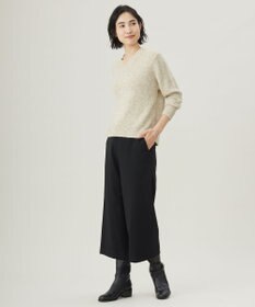 J.PRESS LADIES 【洗える】WARMY LUREX Vネック ニット
