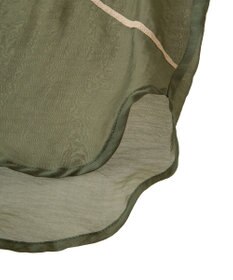 Green Parks ・ＥＬＥＮＣＡＲＥ　ＤＵＥ　テープ刺繍シアーシャツ