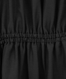 Green Parks ｅａｓｅ　ｂｌｕｅ．バックシャーリングブラウス