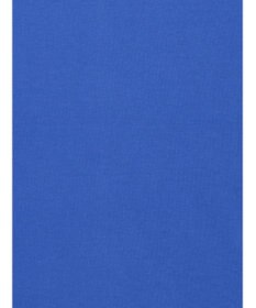Te chichi 【接触冷感/遮熱/吸水速乾】フリルスリーブビッグTシャツ