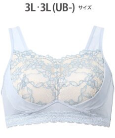 WACOAL 【ナイトアップブラ】 動画クリエイター nanakoななこさんコラボカラー登場 ナイトブラ 綿混(本体) 就寝時用 3Lまで対応 大きいサイズ ノンワイヤー レディース BRA166 /ワコール