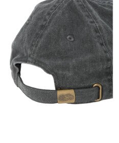 Green Parks ■ＦＲＵＩＴ　ＯＦ　ＴＨＥ　ＬＯＯＭ　Ｐｉｇｍｅｎｔ　ＣＡＰ