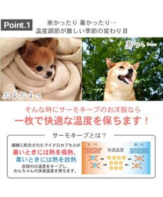 PET PARADISE 犬の服 犬 ディズニー ミニーマウス タンクトップ 【小型犬】 サーモキープ チューリップ