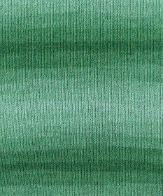 WEGO グラデーションちびニットT