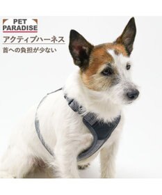 PET PARADISE ペットパラダイス アクティブハーネス 杢調 Ｓ 小型犬