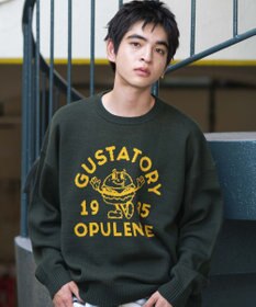 WEGO 【ユニセックス着用ITEM/SMLサイズ展開】ジャガードグラフィックプルオーバー