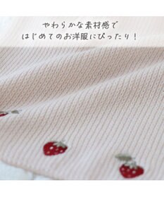 PET PARADISE ペットパラダイス お手軽 ポンチョ 《いちご》 小型犬