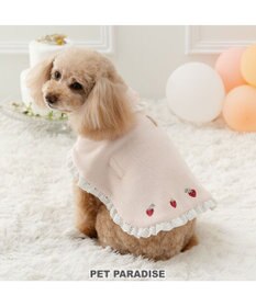 PET PARADISE ペットパラダイス お手軽 ポンチョ 《いちご》 小型犬