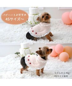 PET PARADISE ペットパラダイス お手軽 ポンチョ 《いちご》 小型犬