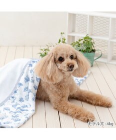 PET PARADISE ペットパラダイス クールケット 《トワルドジュイ》 小型犬