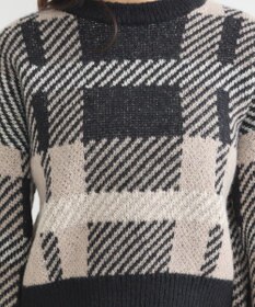 earth music&ecology チェックニットプルオーバー