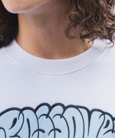 WEGO ヘビーウエイト刺繍グラフィックプルオーバー