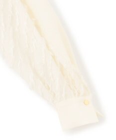 BEIGE， 【洗える】BANKSIA / ニットコンビカットジャカードブラウス