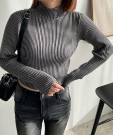 WEGO リブハイネックショートニット